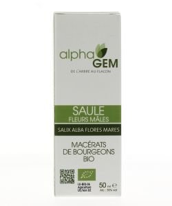 Saule Fleurs Mâles (Salix alba flores males) bourgeon unitaire BIO, 50 ml